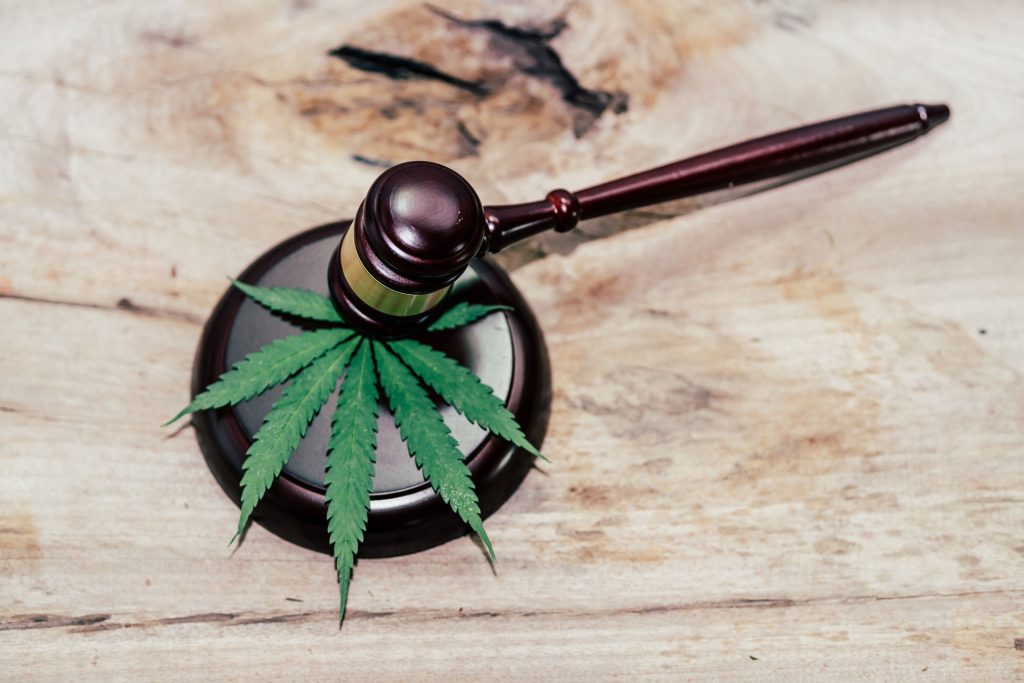 cannabis laws in michigan