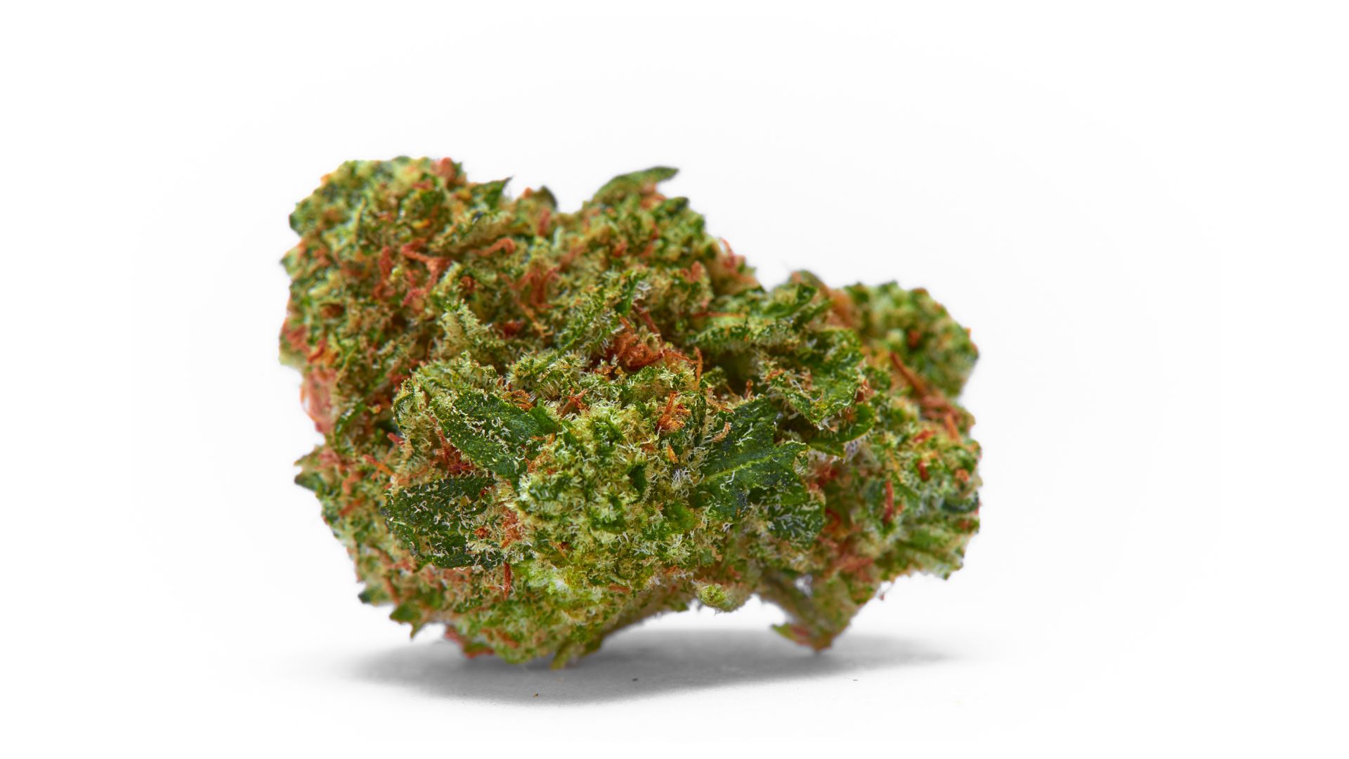 popular Michigan cannabis strains
