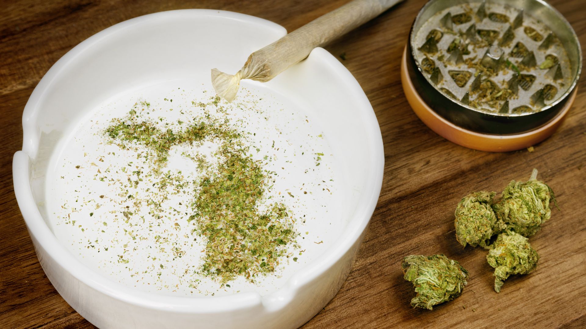 Michigan cannabis events 2026