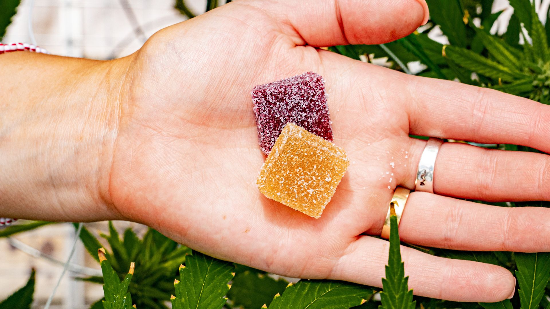 low dose edibles