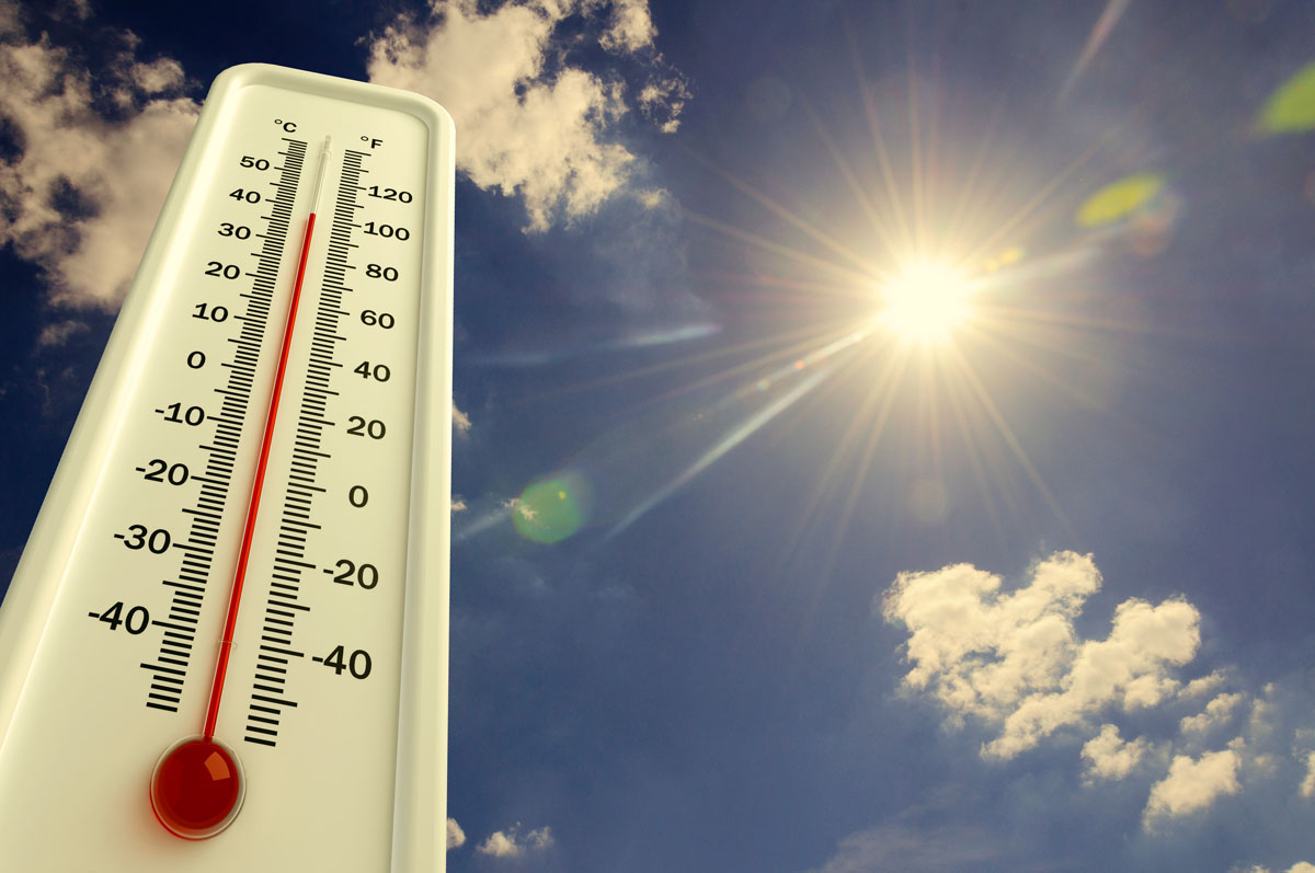 Learn how to store cannabis in summer heat to protect potency, flavor, and freshness for flower, vapes, and edibles.