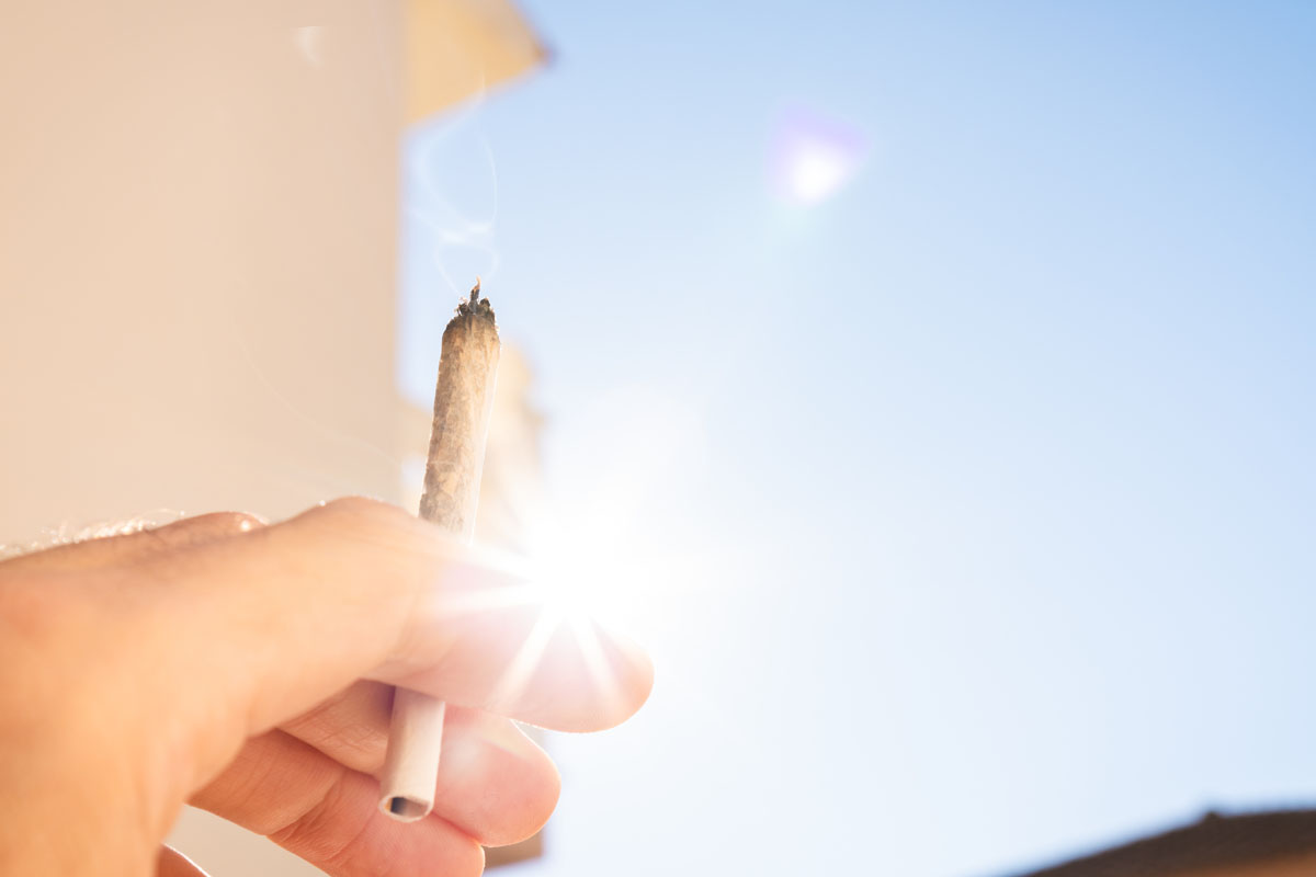 In summertime heat, cannabis products left out in sunlight or in cars can lose flavor, potency, or melt completely.